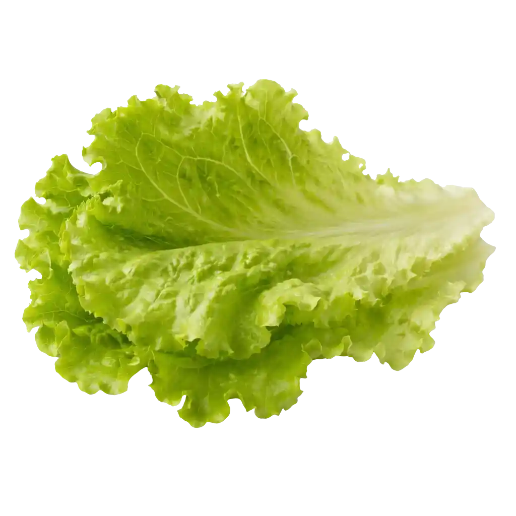 Shredded lettuce, a Cookout burger topping